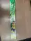 30 CM Gold Mint/Yelow